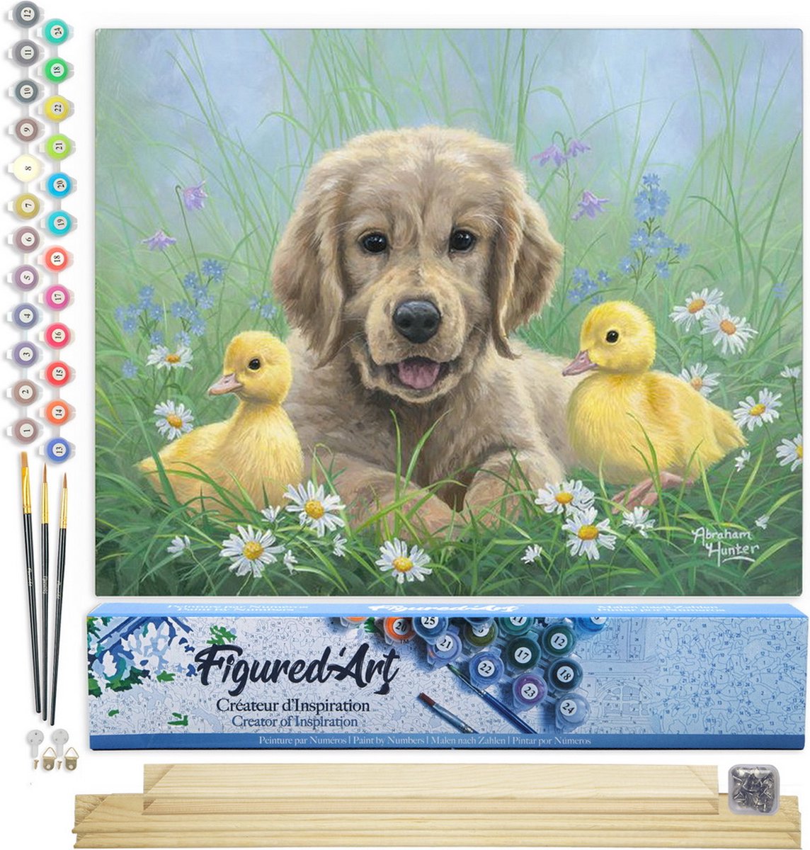 FiguredArt Schilderen op Nummer Volwassenen canvas Labrador en kuikens - Handwerk acrylverf Kit DIY Compleet - 40x50cm met DIY houten lijst